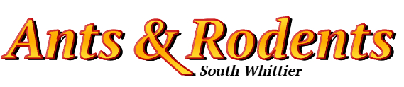 South Whittier Ant Exterminator & Rodent Control Company Logo